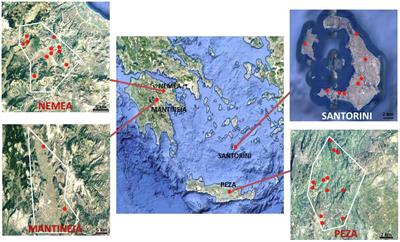 Biogeographical Regionalization of Wine Yeast Communities in Greece and Environmental Drivers of Species Distribution at a Local Scale